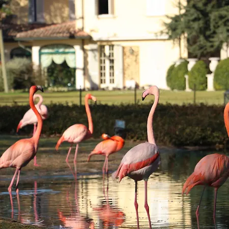 Abbondanzi Semesteranläggning (resort) Faenza