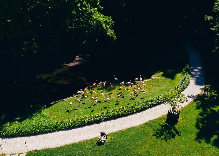 Abbondanzi 4* פאנצה