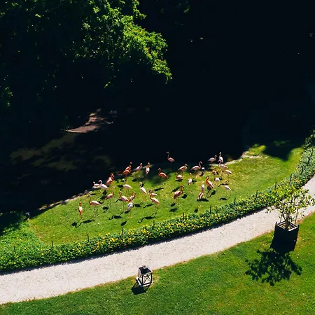 Abbondanzi 4* Faenza