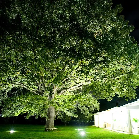 Курортный комплекс Abbondanzi Фаэнца