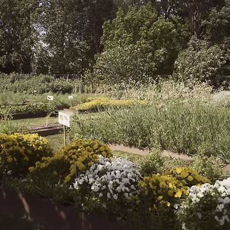 Abbondanzi 4* Фаэнца