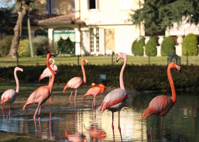 Abbondanzi Resort Faenza