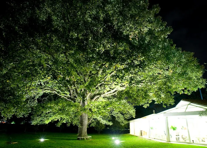 Resort Abbondanzi Faenza