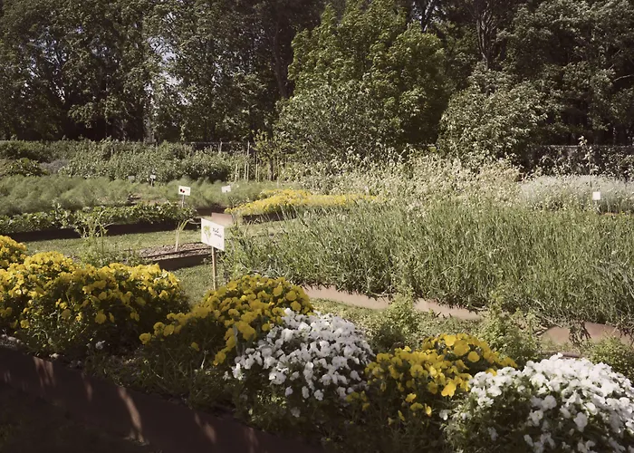 Abbondanzi 4* Faenza